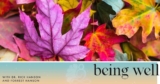 Being Well Podcast: Impermanence Anxiety – How to Live While Letting Go